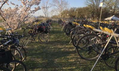 Bikes for Mobility Management