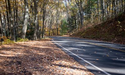 State Referral Networks Improve Access to Transportation and Community Services