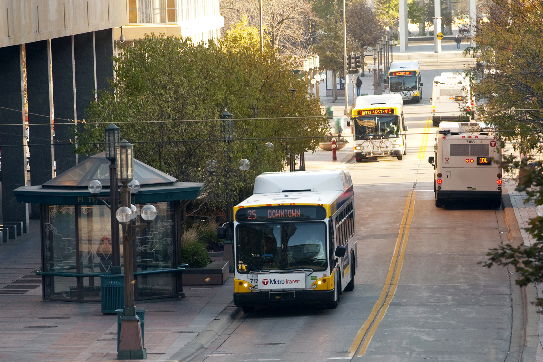 Buses travel aloing a tree lined, two lane street in the early morning. People wait at stops to catch their bus.